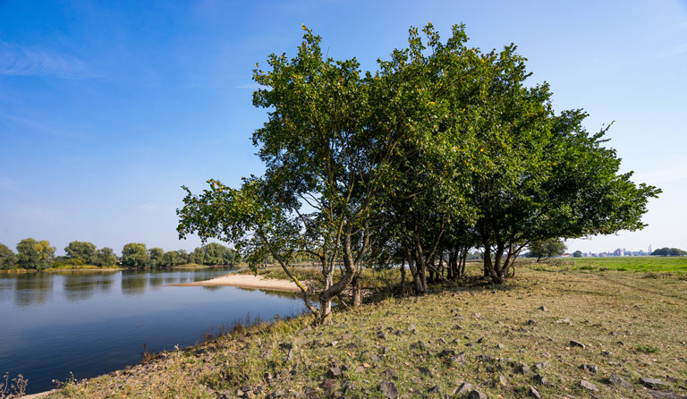 Stadtwerke Wittenberge - Umweltschutz und Nachhaltigkeit